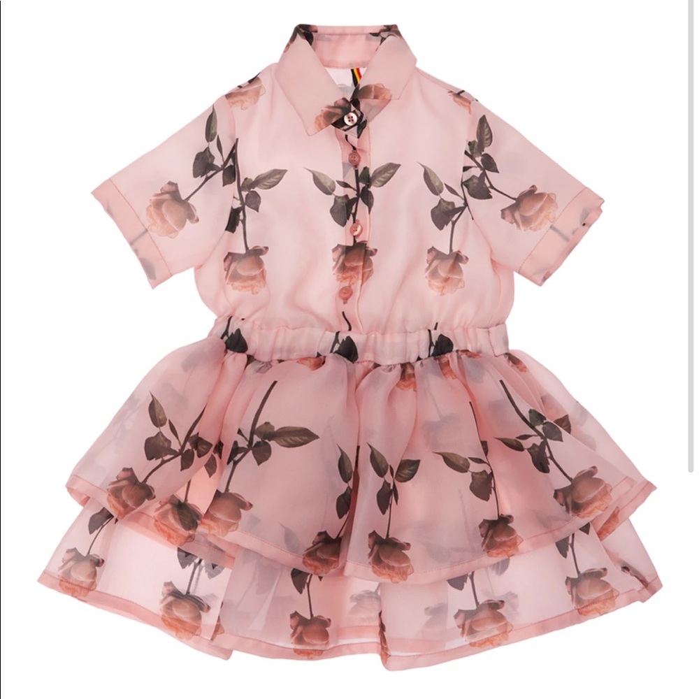 Caroline Bosmans Rose print organza layered dress